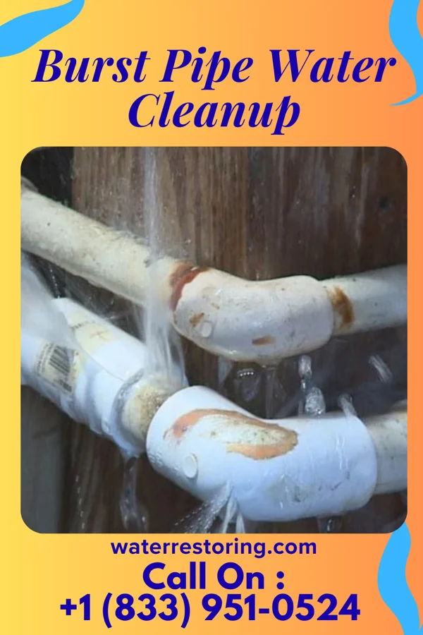 Burst Pipe Water Cleanup in Belmont, CA